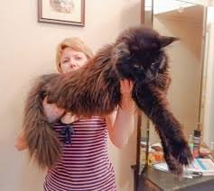 Patricia & James Wilson